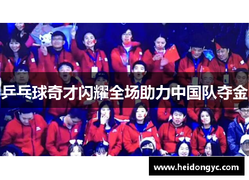 乒乓球奇才闪耀全场助力中国队夺金